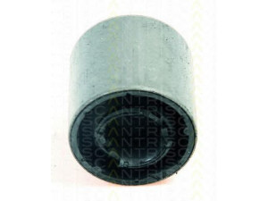 TRISCAN 8500 11840 valdymo svirties/išilginių svirčių įvorė 
 Ašies montavimas/vairavimo mechanizmas/ratai -> Valdymo svirtis/pasukamosios svirties sujungimas -> Montavimas/sutvirtinimas
31 12 6 757 551, 31 12 6 757 561