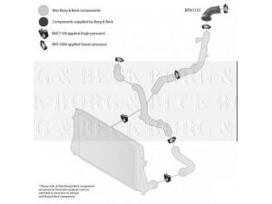 BORG & BECK BTH1151 kompresoriaus padavimo žarna 
 Išmetimo sistema -> Turbokompresorius
1K0145838L, 1K0145838L, 1K0145838L