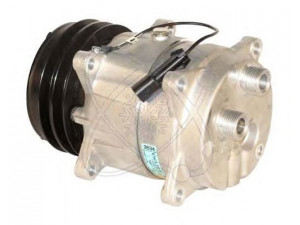 ELECTRO AUTO 20B0066 kompresorius, oro kondicionierius