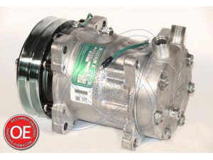 ELECTRO AUTO 20A8069 kompresorius, oro kondicionierius 
 Oro kondicionavimas -> Kompresorius/dalys
11007314, 110589974, 123, 4999