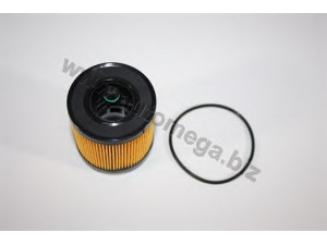 AUTOMEGA 3048040935 alyvos filtras 
 Filtrai -> Alyvos filtras
4804935, 4804935, 12605566, 4804935