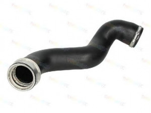 THERMOTEC DCA002TT kompresoriaus padavimo žarna
8E0145737E