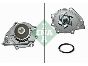 INA 538 0094 10 vandens siurblys