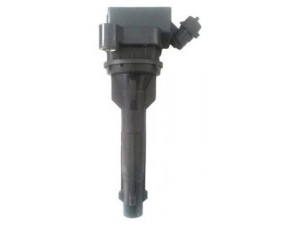 MAGNETI MARELLI 060717138012 ritė, uždegimas
9008019017