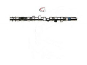 CAMPRO CP10253 skirstomasis velenas 
 Variklis -> Variklio uždegimo laiko reguliavimo kontrolė -> Skirstomasis velenas
046 109 101 K, 074 109 101 J