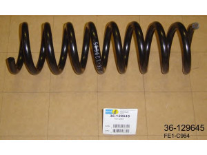BILSTEIN 36-129645 spyruoklė
202 321 20 04