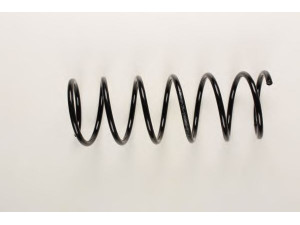 BILSTEIN 36-198252 spyruoklė 
 Pakaba -> Spyruoklės
5002.80