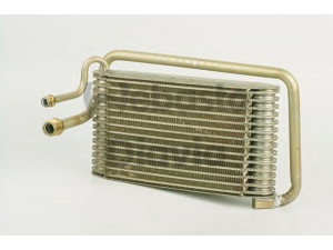 WEBASTO 82D0525053MA garintuvas, oro kondicionierius 
 Oro kondicionavimas -> Garintuvas
7582607, 82468924