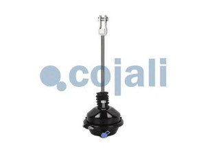 COJALI 2251102 diafragm. stabdžių cilindras 
 Suspausto oro sistema -> Stabdžiai/vykdomasis cilindras -> Diafragm. stabdžių cilindras