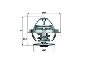 MAHLE ORIGINAL TX 19 75D termostatas, aušinimo skystis 
 Aušinimo sistema -> Termostatas/tarpiklis -> Thermostat
002 203 77 75, 002 203 82 75, 116 200 00 15