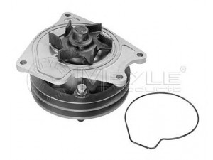 MEYLE 32-13 220 0011 vandens siurblys 
 Aušinimo sistema -> Vandens siurblys/tarpiklis -> Vandens siurblys
ME993474, ME996790