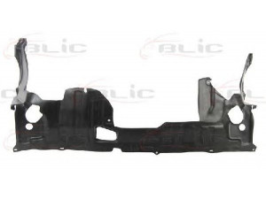 BLIC 6601-02-2938860P variklio dangtis 
 Variklis -> Variklio dangtis
74111S5A900