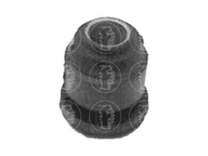 FARE SA 1777 valdymo svirties/išilginių svirčių įvorė 
 Ašies montavimas/vairavimo mechanizmas/ratai -> Valdymo svirtis/pasukamosios svirties sujungimas -> Montavimas/sutvirtinimas
54450G0300