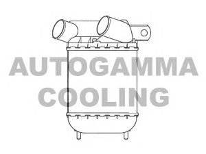AUTOGAMMA 101956 tarpinis suslėgto oro aušintuvas, kompresorius
6001024019