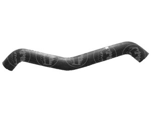 FARE SA 5121 radiatoriaus žarna 
 Aušinimo sistema -> Žarnelės/vamzdeliai/sujungimai -> Radiatoriaus žarnos
SE021117205A