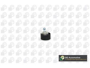 BGA BC2300-1 įtempiklio skriemulys, paskirstymo diržas 
 Techninės priežiūros dalys -> Papildomas remontas