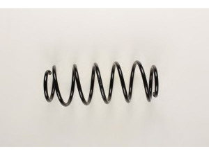 BILSTEIN 36-130436 spyruoklė 
 Pakaba -> Spyruoklės
90 251 137