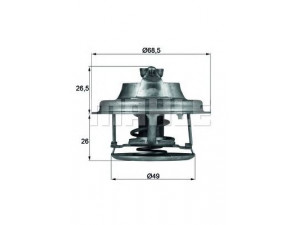 MAHLE ORIGINAL TX 102 82D termostatas, aušinimo skystis 
 Aušinimo sistema -> Termostatas/tarpiklis -> Thermostat
46130346, 7700578467, 7901245278