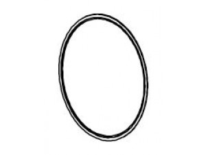 DINEX 98908 tarpiklis, išleidimo kolektorius