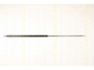 TRISCAN 8710 9011 dujinė spyruoklė, priekinis skydas