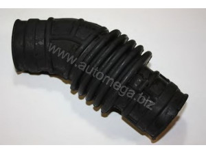 AUTOMEGA 3008360770 žarna, oro tiekimas 
 Variklis -> Oro tiekimas -> Radiatoriaus žarnos
0836770, 836770, 0836770, 836770