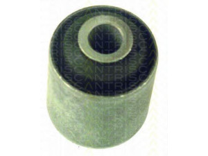 TRISCAN 8500 27801 valdymo svirties/išilginių svirčių įvorė 
 Ašies montavimas/vairavimo mechanizmas/ratai -> Valdymo svirtis/pasukamosios svirties sujungimas -> Montavimas/sutvirtinimas
1329655