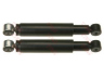 amortizatorius
