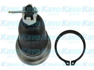 KAVO PARTS SBJ-6526 atramos/vairo trauklė 
 Ašies montavimas/vairavimo mechanizmas/ratai -> Sujungimai -> Atramos/vairo trauklė
401102S485, 401102S486, 401102S685