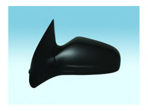 SPJ E-2748 išorinis veidrodėlis
6428278