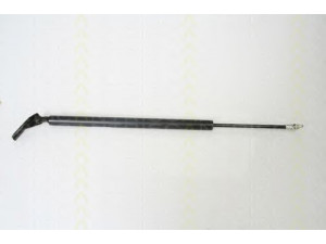 TRISCAN 8710 42238 dujinė spyruoklė, bagažinė
MR181455