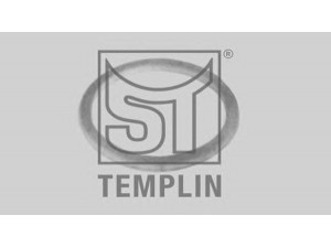 ST-TEMPLIN 14.060.1592.040 veleno sandariklis, rato stebulė
06.56190.0822, 007603 024106