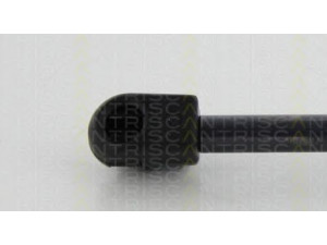 TRISCAN 8710 10213 dujinė spyruoklė, bagažinė 
 Priedai -> Bagažinė/pakrovimo skyrius
8731.S0, 8731.S0