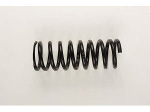 BILSTEIN 36-154227 spyruoklė 
 Pakaba -> Spyruoklės
126 324 16 04