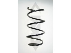 SPIDAN 56923 spyruoklė 
 Pakaba -> Spyruoklės
31 33 6 761 210