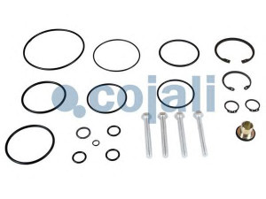 COJALI 6014167 remonto komplektas