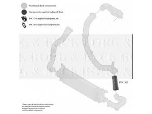 BORG & BECK BTH1300 kompresoriaus padavimo žarna
1547331, 8V516N650BC