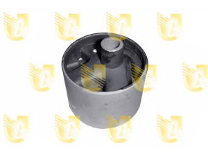 UNIGOM 396998 variklio montavimas
113219C000