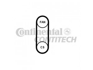 CONTITECH 4PK711 ELAST T1 V formos rumbuotas diržas, komplektas 
 Techninės priežiūros dalys -> Techninės priežiūros intervalai
03L 998 037 A