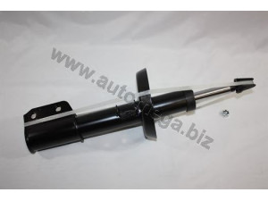 AUTOMEGA 3103440041 amortizatorius
344041, 72119111, 72119111