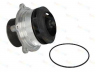 THERMOTEC WP-DF113 vandens siurblys 
 Aušinimo sistema -> Vandens siurblys/tarpiklis -> Vandens siurblys
1664 762, 1664762, 1664762A, 1664762R