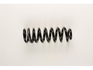 BILSTEIN 36-165599 spyruoklė 
 Pakaba -> Spyruoklės
164 324 02 04