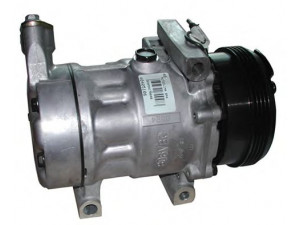 AUTOCLIMA 40405106 kompresorius, oro kondicionierius 
 Oro kondicionavimas -> Kompresorius/dalys
7711134670, 8200037058, 8200618853