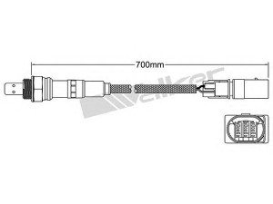 WALKER PRODUCTS 250-25065 lambda jutiklis 
 Variklis -> Variklio elektra
03G906262B, 03G906262B, 03G906262B