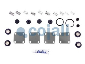 COJALI 6012002 remonto komplektas