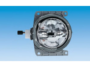 BOSCH 0 318 490 149 rūko žibintas