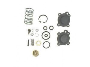 AIR FREN 11.R2919 remonto komplektas
0014303060