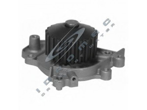 CAR 332018 vandens siurblys 
 Aušinimo sistema -> Vandens siurblys/tarpiklis -> Vandens siurblys
19200P30003, 19200P72A01, PA10036