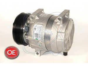 ELECTRO AUTO 20B0095 kompresorius, oro kondicionierius 
 Oro kondicionavimas -> Kompresorius/dalys
8200021822