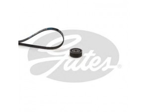 GATES K105PK1200 V formos rumbuotas diržas, komplektas 
 Techninės priežiūros dalys -> Techninės priežiūros intervalai
7701477581