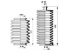 MOOG K150045 gofruotoji membrana, vairavimas 
 Vairavimas -> Gofruotoji membrana/sandarinimai
91510864, 91510923, 95510864, 91510864